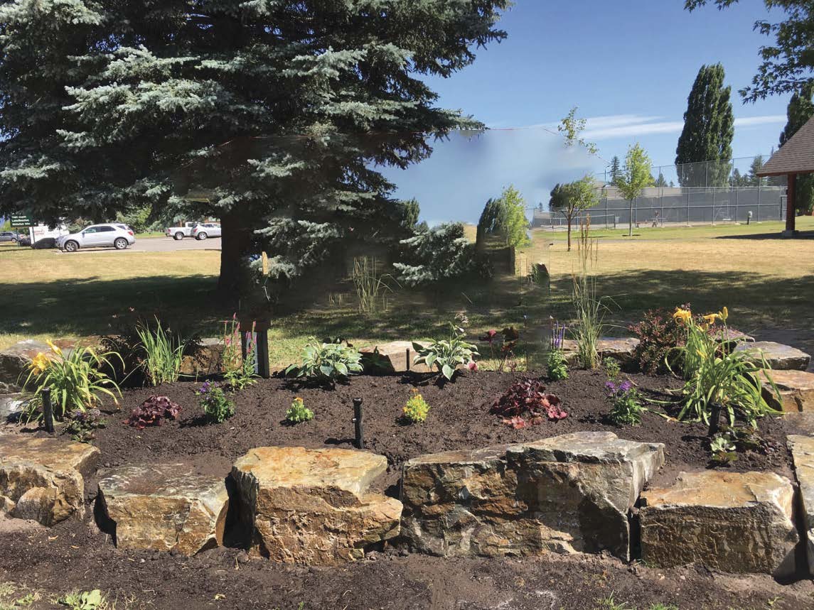 Pollinator Garden Image