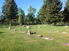 Grave Sites at a Cemetery